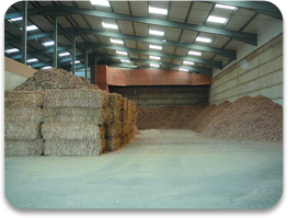 Baled miscanthus